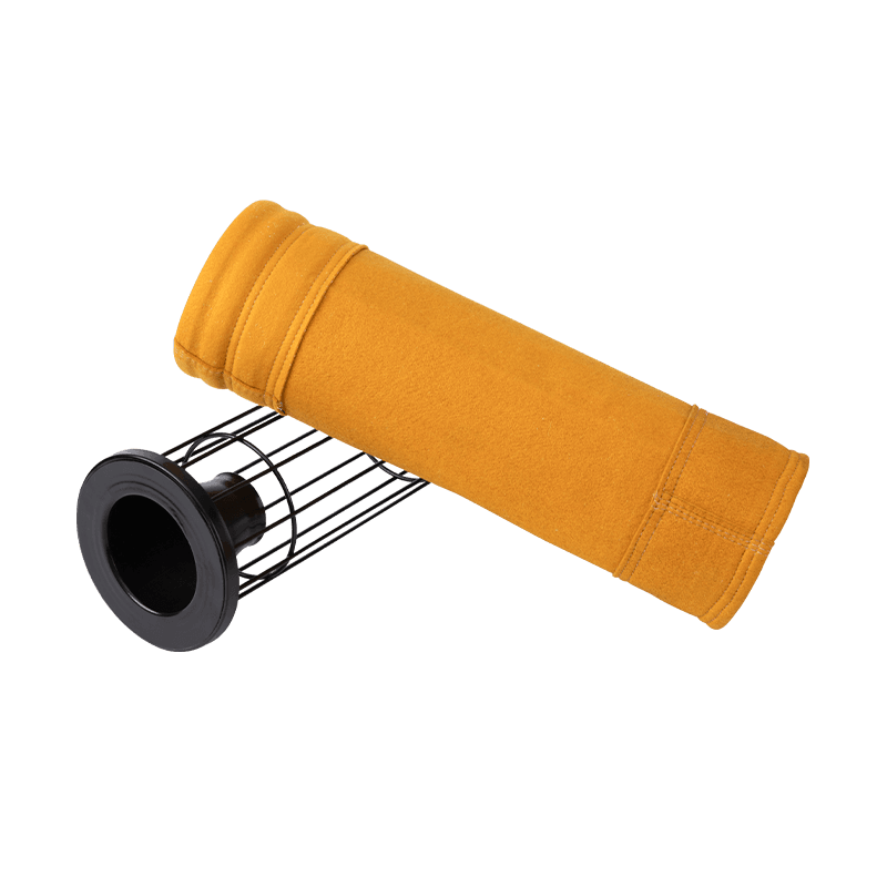 P84 acus Punctum sensit filter sacculos