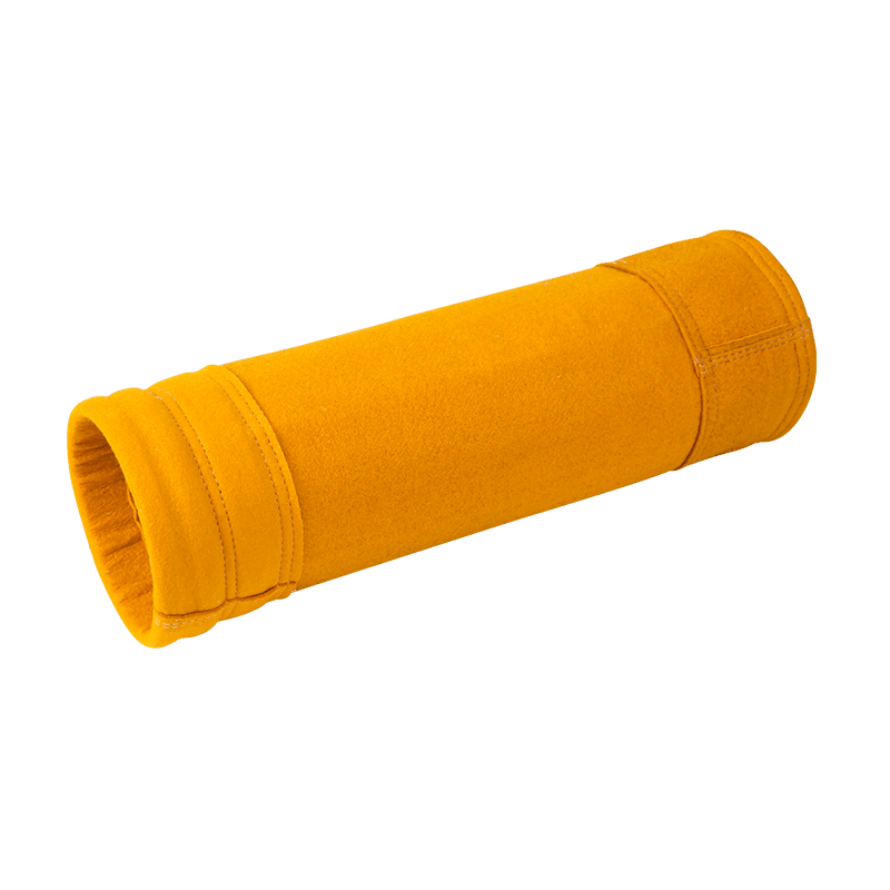 P84 acus Punctum sensit filter sacculos