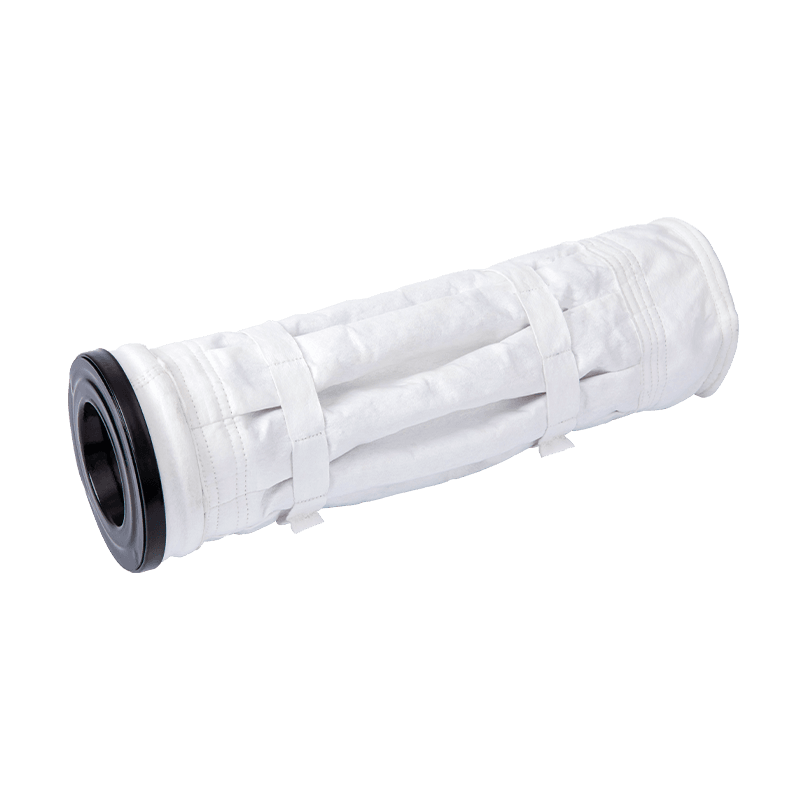 Pleas filter sacculos