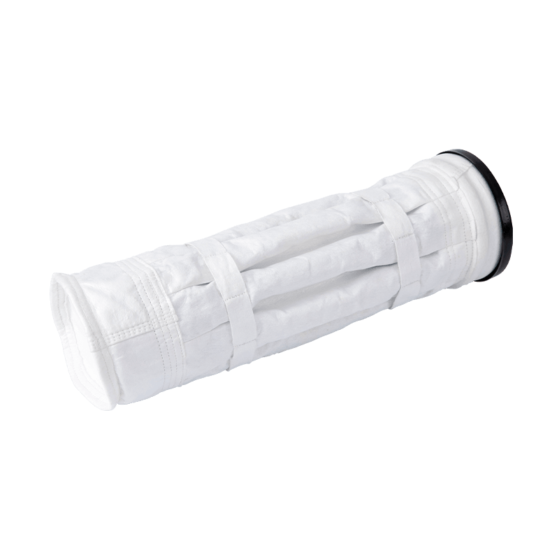 Pleas filter sacculos