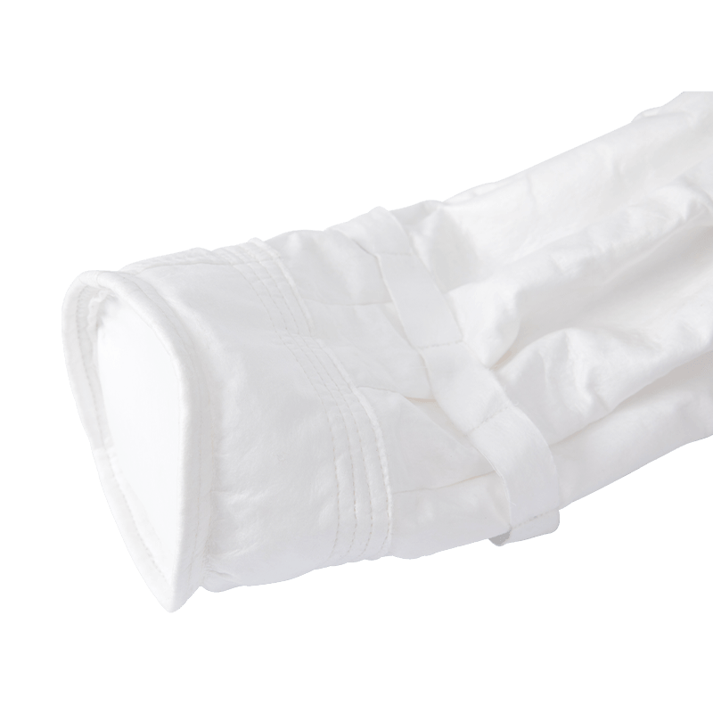 Pleas filter sacculos