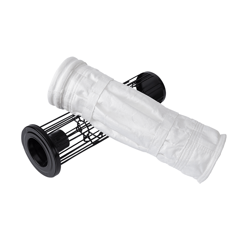 Pleas filter sacculos