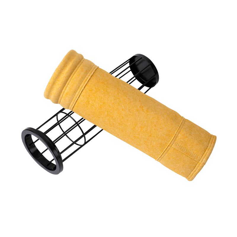 P84 acus Punctum sensit filter sacculos